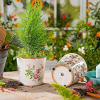 Sungmor Vintage Ceramic Planter Set of 2 - Decorative Indoor & Outdoor Flower Pots with Drainage Holes - Tuscan Décor Pots, 5.5" Ice Crackle Glaze Planters for Home, Kitchen, Patio, and Garden