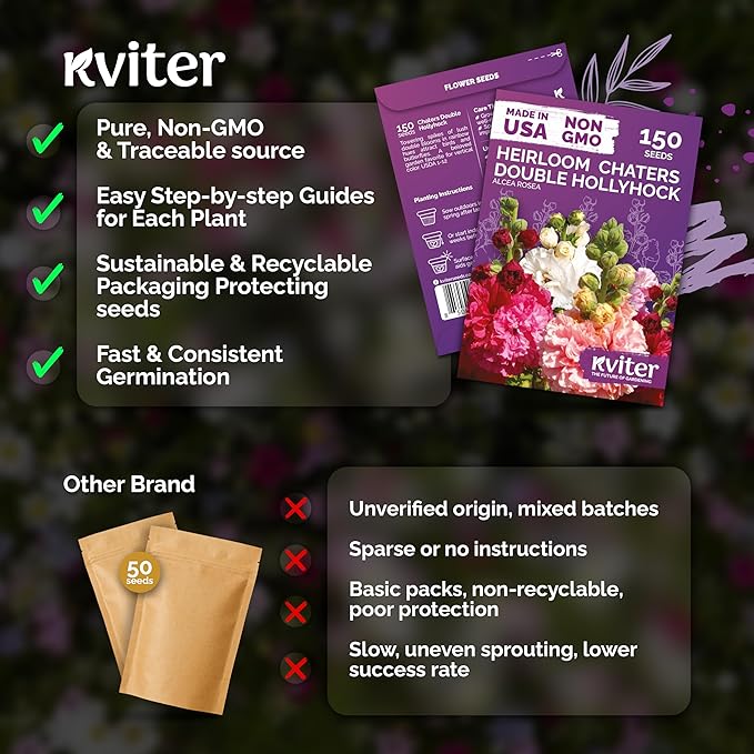 KVITER 150 Chaters Hollyhock Seeds for Planting (Alcea rosea) - Heirloom | Tall Blooms | Pollinator Magnet - Double Hollyhocks Flower Seeds to Plant Outside in Garden, Cottage Borders, Containers