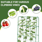 Compact U-Shaped Plant Trellis for Peas, Beans & Light Climbing Plants - Rust-Resistant, Foldable Design, Lightweight Steel, Ideal for Raised Beds & Patio Gardens(31" W x 47" H)