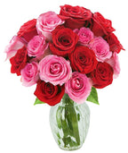 KaBloom - Cupid's Roses Romantic Bouquet of 9 Red Roses and 9 Pink Roses With Vase- Fresh Flowers for Birthday, Valentine's & Mother's Day