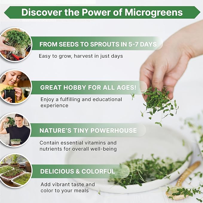 Organo Republic Arugula Sprouting & Microgreens Seeds - Non-GMO, Heirloom Sprout Seeds Kit, 1lb Resealable Bag for & Growing Microgreens in Soil, Coconut Coir, Aerogarden & Hydroponic System.