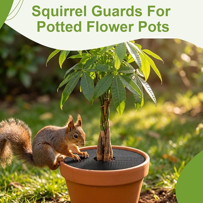 4 Pack 15.7" Cuttable Plant Pot Grids with 16 Stakes, Soil Cover & Cat & Animal Digging Stopper for Indoor Outdoor Garden Plants