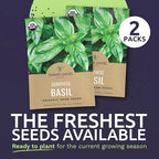 Organic Basil Seeds ‘Genovese’ – Two Seed Packets! – Over 496 Open Pollinated Non-GMO Italian Seeds – Sweet Yards Seed Co.