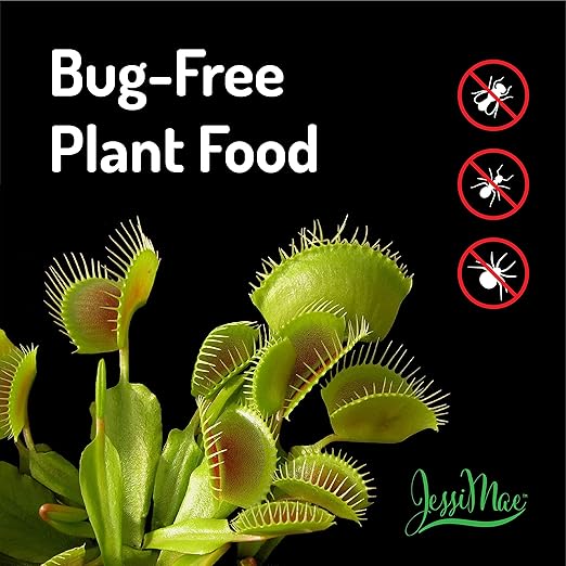Jessi Mae Carnivorous Plant Food Drops - 30 ml - No-Dip Applicator for Carnivorous Plant Fertilizer - Nutrient-Rich Formula - Seaweed & Blood Meal Blend