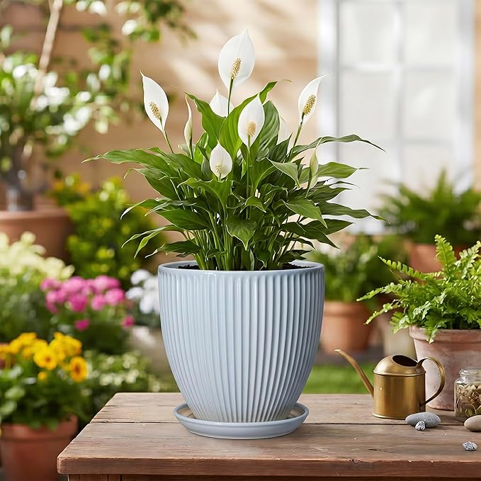 Ceramic Flower Pots, 6 Inch Plant Pot for Indoor Plants, Modern Ceramic Planter with Drainage Hole and Saucer, Small Orchid Pots, Home Decor, Gifts for Plant Lovers Women Men, Light Blue