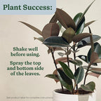 Miracle-Gro Plant Care Leaf Protect and Shine, 4-in-1 Insecticide, Miticide, Fungicide and Leaf Shine Spray for Indoor Plants, 8 fl. oz., 2-Pack