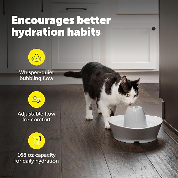 PetSafe Ceramic Pet Fountain for Cats and Small Dogs 60 Oz Water Capacity Whisper-Quiet Water Flow Great for Shy or Timid Pets Fresh, Filtered Water - Extra Carbon and Foam Filters Included
