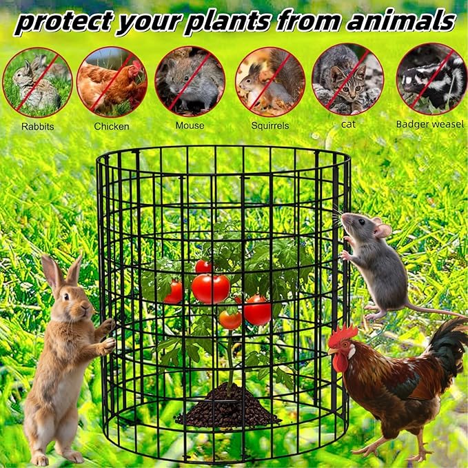 30Pcs Plant Protectors from Animals, 12x12 inch Metal Wire Mesh Plants Cages for Garden, Protection Vegetables Flowers Shrubs, Keep Rabbits, Chickens, Ducks and Other Animals Out