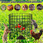 30Pcs Plant Protectors from Animals, 12x12 inch Metal Wire Mesh Plants Cages for Garden, Protection Vegetables Flowers Shrubs, Keep Rabbits, Chickens, Ducks and Other Animals Out