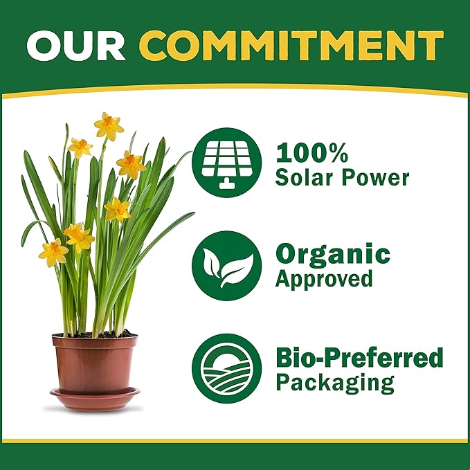 Espoma Organic Bulb-Tone 3-5-3 Natural & Organic Fertilizer and Plant Food for All Spring and Fall Bulbs. 4 lb. Bag. Use for Planting & Feeding to Promote Vibrant Blooms