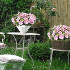 CITYES 6 Pcs Artificial Flowers for Outdoors Impatiens Silk Geraniums Flowers Pink UV Resistant Faux Impatiens Flowers for Outdoor Planters Pot Patio Garden Hanging Basket Porch Table Indoor Decor