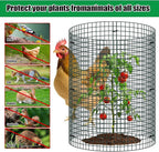 5 Pack Wire Plant Protector, 16"x12" Detachable Metal Plant Protectors Mesh, Garden Plant Protectors for Shrubs Flowers Vegetables to Keep Rabbit & Chicken Animals Out