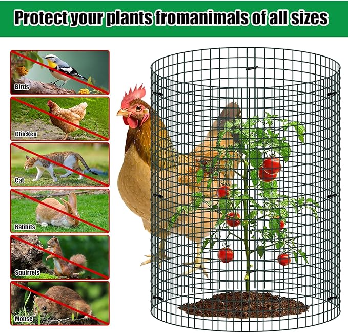 5 Pack Wire Plant Protector, 16"x12" Detachable Metal Plant Protectors Mesh, Garden Plant Protectors for Shrubs Flowers Vegetables to Keep Rabbit & Chicken Animals Out