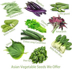 Bundle: Yard Long Pole Bean Seeds+ Ping Tung Long Eggplant Seeds