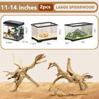 Jorewood Natural Large Spiderwood Driftwood for Aquarium Decor Rptile Fish Tank Decoration Assort Branch 11-14'' 2 Pcs