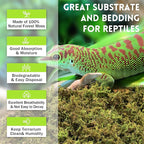 Riare 1.3LB Premium Sphagnum Moss for Reptiles- 50QT Natural Live Moss Reptile Moss Bedding for Terrarium, Hatching, Forest Sphagnum Moss Reptile Substrate for Snakes, Gecko, Turtles, Frogs, Leopard