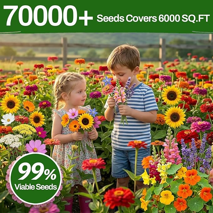 LUOJIBIE 5 Varieties Flower Seeds in Individual Packs, Includes Zinnia, Lavender, Sunflower, Marigold Nasturtium, 15,000+ High Germination Non-GMO Seeds for Planting Indoor Outdoor, Open Pollinated