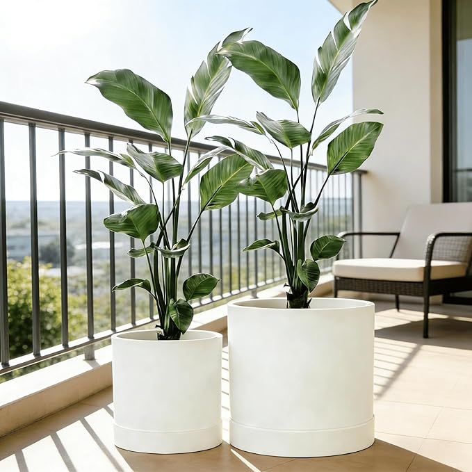 GreenShip Planter Set of 2 (13.8" & 11.8") – Cylinder Planters with Drainage Hole and Planter Saucer, Jun Porcelain Clay & Recycled Resin, Decorate Home,Office & Outdoor,White pots