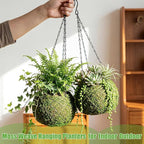 2 Pack 6 Inch Kokedama Moss Ball Planter Orchid Pots Hanging Orchid Planter Basket Moss Ball Hanging Baskets for Plants Outdoor Woven Plant Holder for Indoor Home Garden Balcony Decor