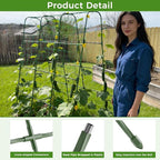 Miory Cucumber Trellis, 63" Tall U-Shape Trellis for Raised Bed, Garden Arch Trellis for Climbing Plants Outdoor, Plant Support for Vines, Steel with PE Coated (32" Lx32 Wx63 H)