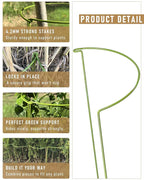 6-Pack Plant Support Stakes, Steel Stakes for Indoor Plants, Monstera & Peony Support, Tall Plant Sticks for Snake Plant, Climbing Vines, Metal Garden Stakes (10" W x 15.8" H)