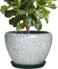 10 Inch Flower Pots Indoor - Ceramic Planter with Drainage Hole and Saucer, Large Flower Pots for Indoor Outdoor Plants, Round Modern Planter, Garden Decor, Plant Lover Gifts, Crackle Green