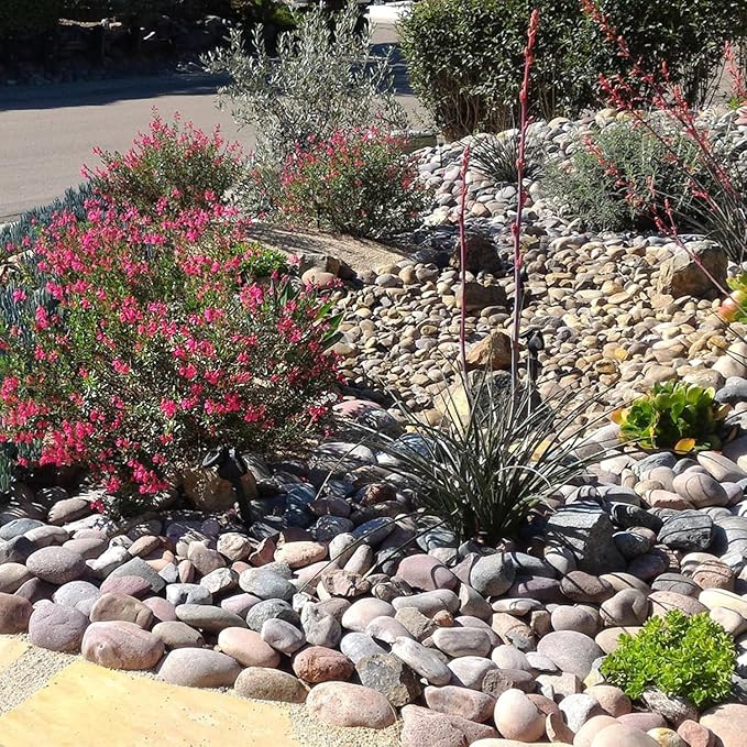 FANTIAN 40 lbs Garden Rocks Mexican Beach Pebbles, 3-4 Inch Decorative Large River Rocks for Landscaping Aquarium Yard Garden Paving Large Plant Crafting and Walkways