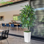 5FT Artificial Dracaena Tree - High-Density Foliage Fake Plant with White Tall Planter - Faux Yucca Floor Plant for Home Office Decor Indoor