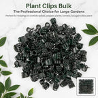 RAINFLOW 200 PCS Plant Clips Orchid Clips - Plant Support Clips for Indoor Plants, Small Plastic Garden Trellis Clips for Plant Stakes, Climbing Vine Stem Support, Orchid Plant Training Upright Growth