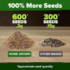 HOME GROWN Dandelion Seeds for Planting 600 Heirloom Medicinal Herb Seeds (~0.3g) Non GMO Grow Edible Leaves and Flowers for Remedies or Wildlife (Taraxacum officinale)