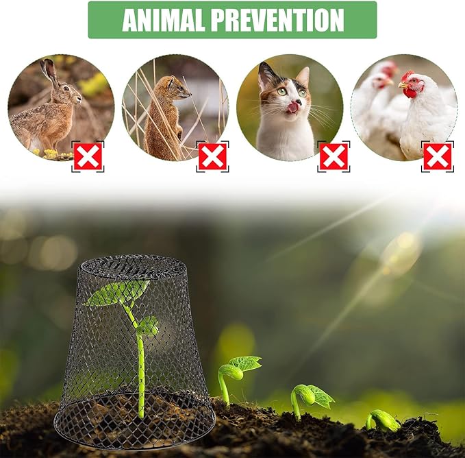 10 Pcs Garden Chicken Wire Plant Covers, 11x11Inch Metal Wire Garden Cloches Chicken Wire Cloche Plant Protector Heavy Duty Garden Plant Cloche for Keeping Bunnies Chicken Squirrels Birds Other Out