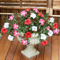 Artificial Flowers Plants for Outdoors, 6PCS UV Resistant Faux FlowersOutdoor Plants, Fake Petunias Silk Flowers for Garden Balcony Yard Porch Decor (White Red Pink)