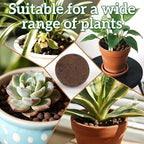 RAINFLOW Leca Clay Pebbles for Plants - 5mm-10mm Clay Balls for Plants Pebbles for Indoor Plant Hydroponic Growing Gardening Orchids Drainage Decoration Aquaponics Growing Terrarium 250g