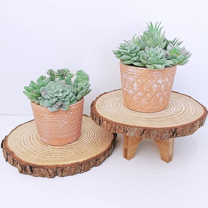 Supla 11 Pcs Mini Artificial Succulents Picks Unpotted Faux Succulent Assortment in Flocked Green in Different Type Different Size Succulents Echeveria Agave Floral Arrangement Mother Day' s Gift