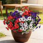 17 Inch Artificial Faux Pansy Flowers for Outdoor,Fake Pansies Flowers with Eucalyptus Leaves Fake Plants Greenery Boxwood Porch Patio Decor 6 Bundles(Dark Purple,Red,White)
