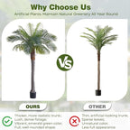 6FT Artificial Coconut Palm, Faux Coconut Silk Palm Tree, Tropical Fake Trees for Indoor Outdoor, Large Sago Palm Plant for Home Office Garden Patio Poolside, 1 Pack