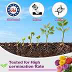 1000+ Crazy Blend Zinnia Seeds for Planting Zinnia Elegans Heirloom Open Pollinated & Untreated Mixed Color Zinnia Flowers