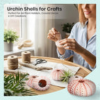 Nautical Crush Trading Sea Urchins Shells for Air Plants - 5 Pink (1-2") Sea Urchin Shells - Hanging Air Plant Holder - Air Plants Live Holders - No Plants Included