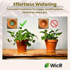 Self-Watering Planter Insert for Houseplants, Flower Pots and Hanging Baskets – Bottom Watering Reservoir with Wicking System – Prevents Over & Under Watering and Root Rot – Indoor/Outdoor – USA Made