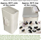 Bundle: Yard Long Pole Bean Seeds+ Ping Tung Long Eggplant Seeds