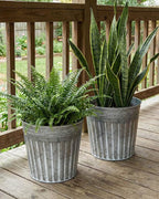 vensovo 12 Inches Silver Metal Rustic Plant Pots - 3 Pcs Large Galvanized Planters with Drain Hole and Rubber Plug, Rustproof Tin Bucket Flowerpot for Indoor Plants Farmhouse Vintage Style for Decor