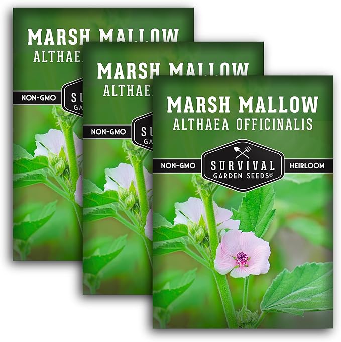 Marshmallow Seeds for Planting - Marsh Mallow Medicinal Herb, Althaea Officinalis, Traditional Root Plant for Herb Garden - Heirloom Non-GMO Open Pollinated - Survival Garden Seeds (3 Pack)