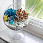 Creations by Nathalie DIY 6" DIY Chalice Terrarium Kit - Build Your Own Glass Terrarium for Adults & Teens with Moss, Crystals, Tools & Decor - Handcrafted in the USA (Live Plant Included)