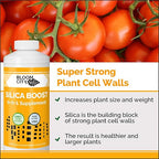 Liquid Silica Boost Fertilizer and Supplement by Bloom City, Quart (32 oz) Concentrated Makes 180 Gallons