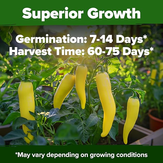 HOME GROWN Banana Pepper Seeds 94+ Heirloom Non GMO Seeds for Planting, High Germination, Sweet & Mild Peppers, Indoor Outdoor Garden, Perfect for Slicing & Pickling, High Yield (Capsicum annuum)