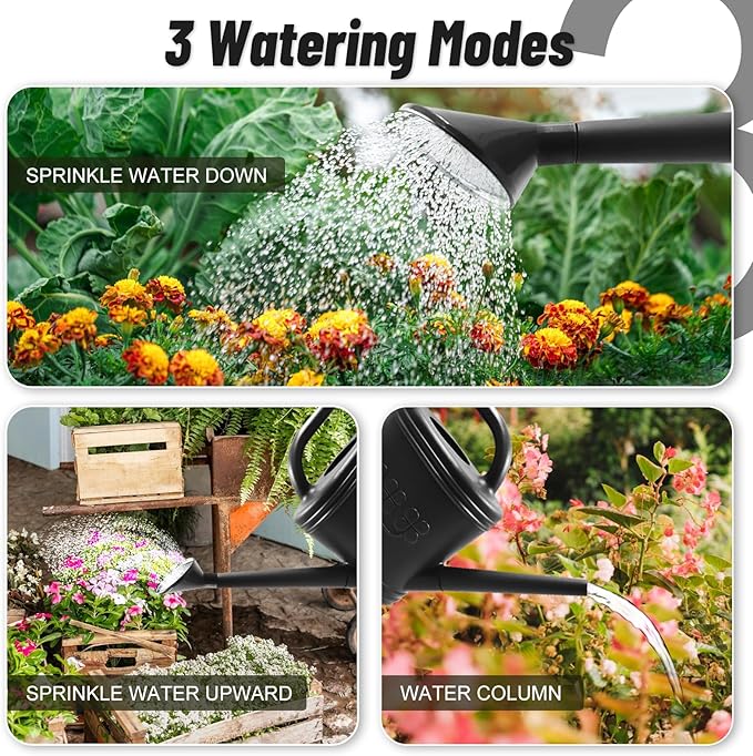 2 Gallon Watering Can, Outdoor Watering Can for Plants, Garden Water Can with Removable Long Spout and Stainless Steel Sprinkler Head, Large Water Can for Greenhouse (Black, 2 Gallon)