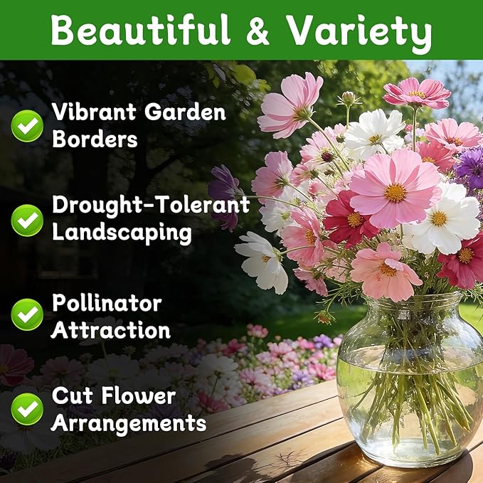 LUOJIBIE Cosmos Seeds, 10,000+ Cosmos Flower Seeds for 2026, Wildflower Seeds for Planting Outdoor Garden, Crazy Blend Mix Color, No Filler, 3 Oz Packet, Easy to Grow