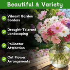 LUOJIBIE Cosmos Seeds, 4,500+ Cosmos Flower Seeds for 2026, Wildflower Seeds for Planting Outdoor Garden, Crazy Blend Mix Color, No Filler, 1.5 Oz Packet, Easy to Grow