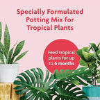 Miracle-Gro Tropical Potting Mix, For Container Plants, Use with Snake Plants, Spider Plants, Pothos, Monstera, 6 qt., 3-Pack