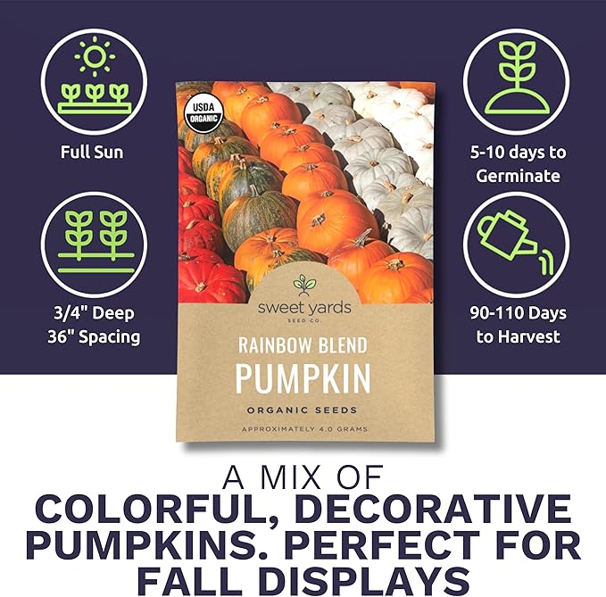 Organic Rainbow Blend Pumpkin Seeds – Two Seed Packets! Over 15 Open Pollinated Non-GMO Seeds – Sweet Yards Seed Co.